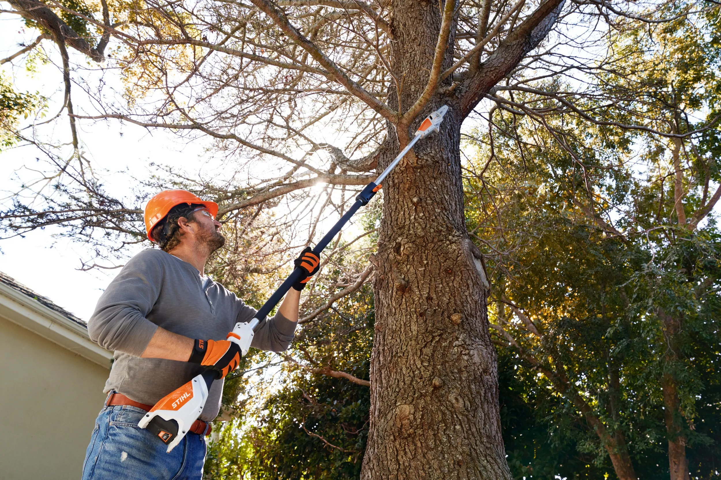 Élagueuse sur perche à batterie STIHL – HTA 50 – Gamme AK – Image 2