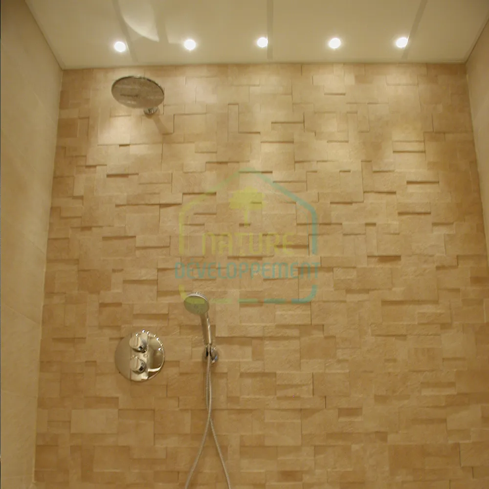 Spot salle de bain encastré Kit LED 1W CANARI