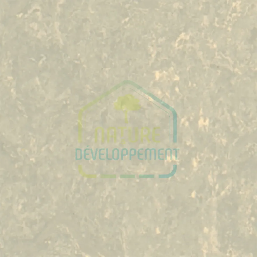 Linoléum Sol à Cliquer effet marbre Lino Plus de Ziro – Image 3