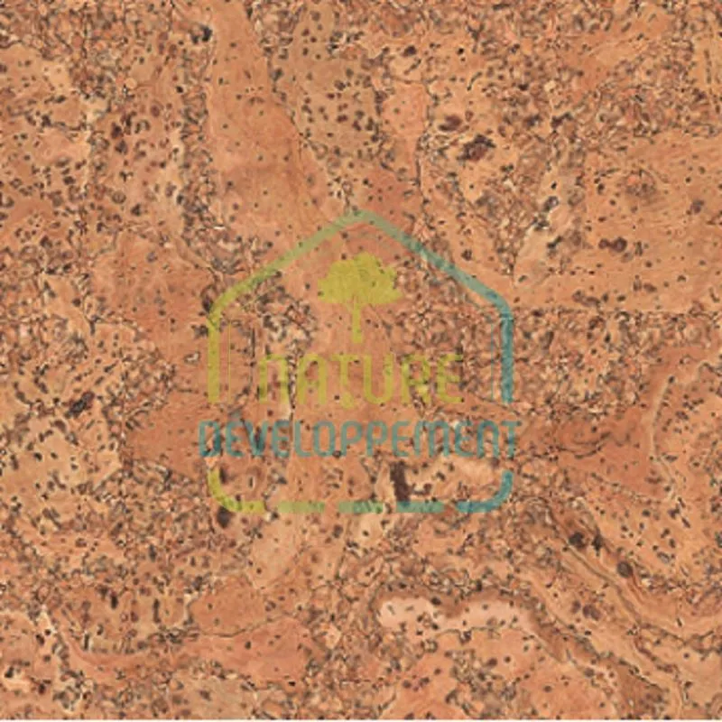Parquet liège brut 10mm Kork Life 10 de Ziro – Image 2