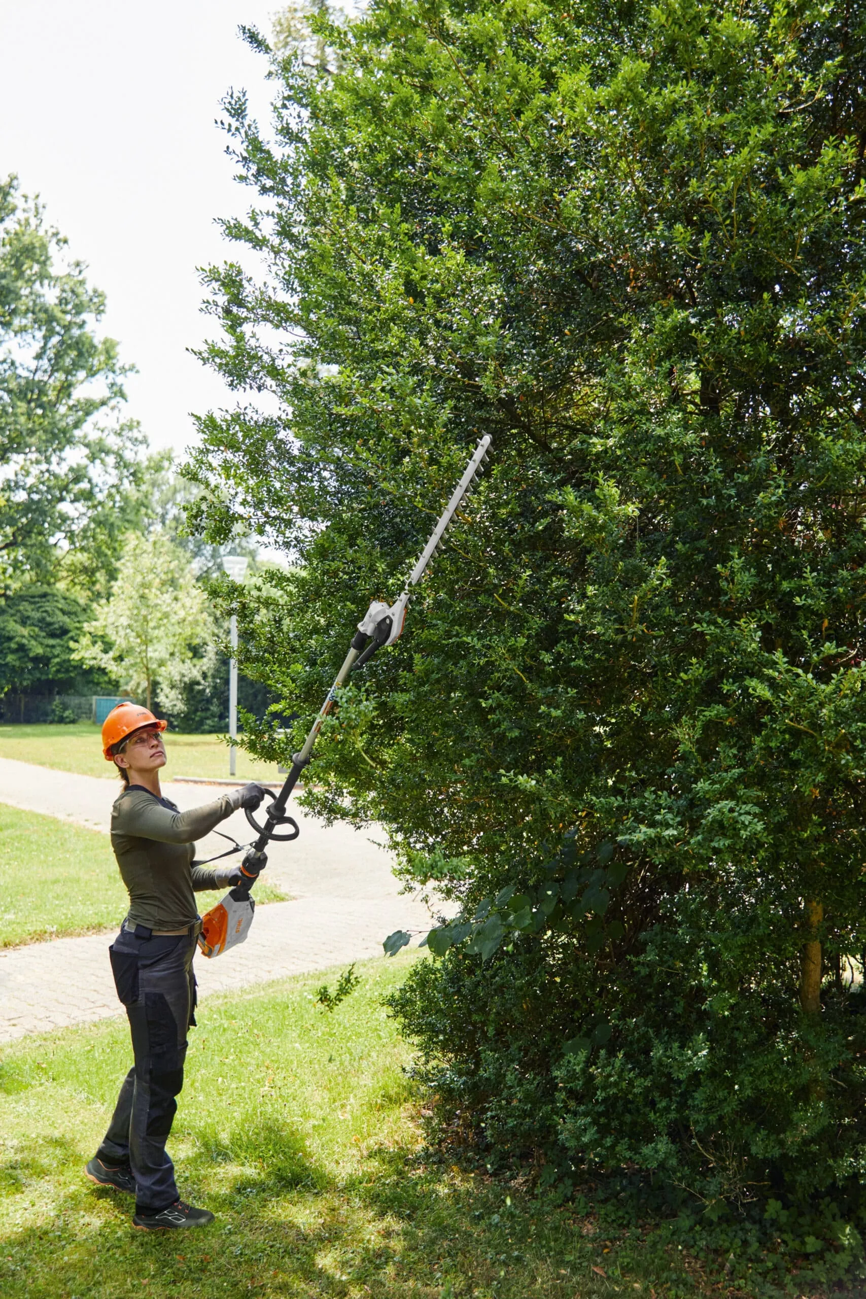 Taille-haie sur perche à batterie STIHL – HLA 135 K – 60 cm – Gamme AP – Image 2