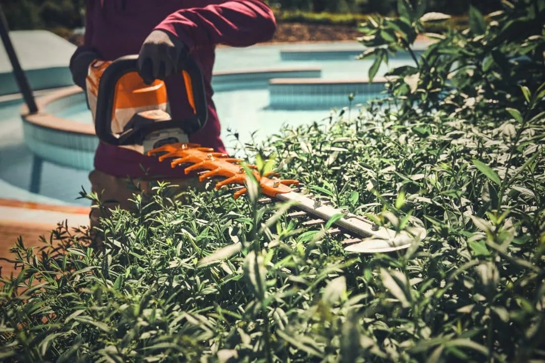 Taille-haies à batterie STIHL – HSA 140 R (75 cm) – Gamme AP – Image 2