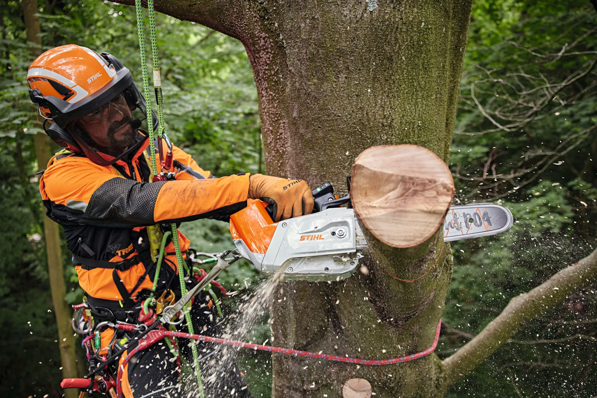 Tronçonneuse à batterie STIHL – MSA 220 TC-O – Gamme AP – Image 5