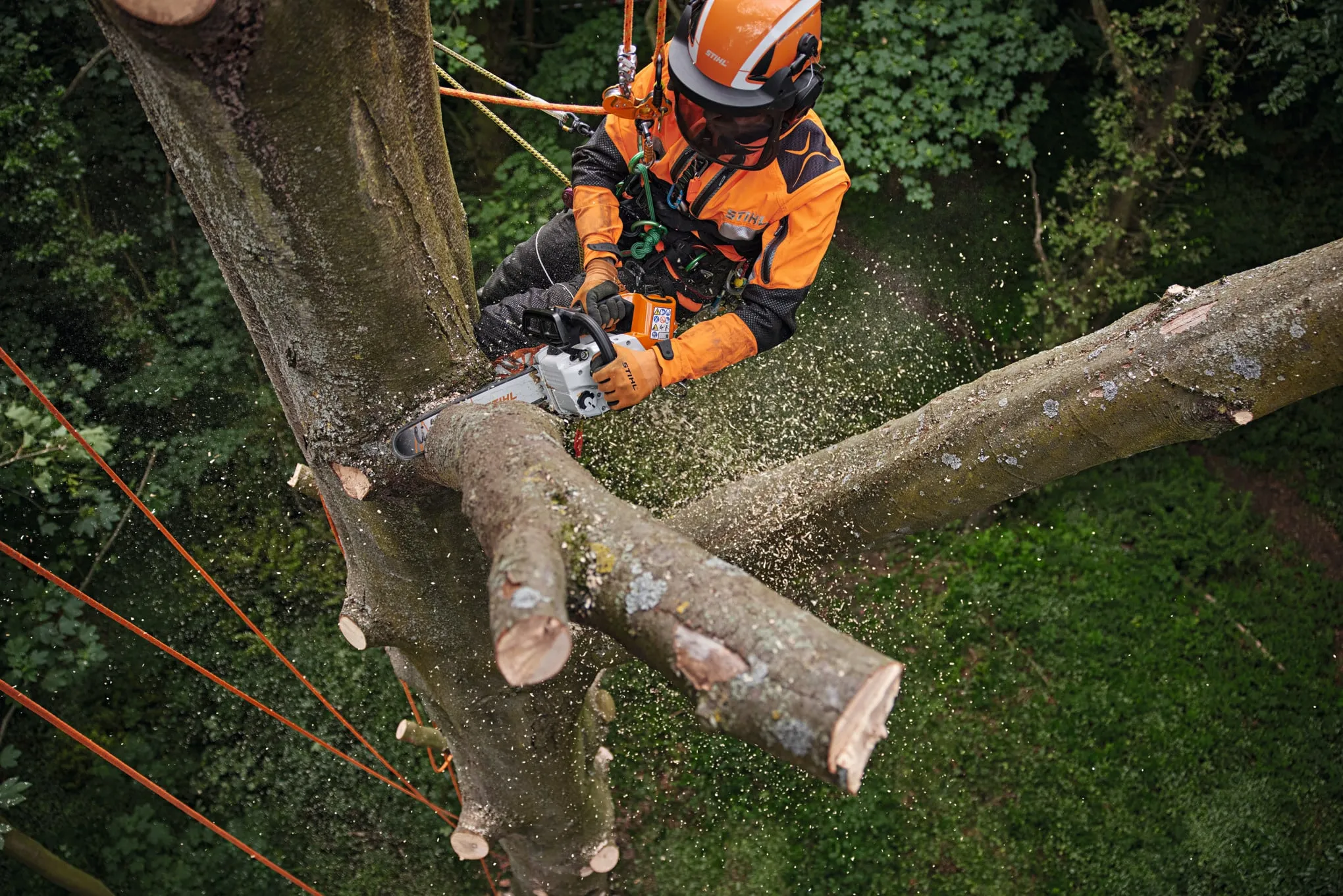 Tronçonneuse à batterie STIHL – MSA 220 TC-O – Gamme AP – Image 4