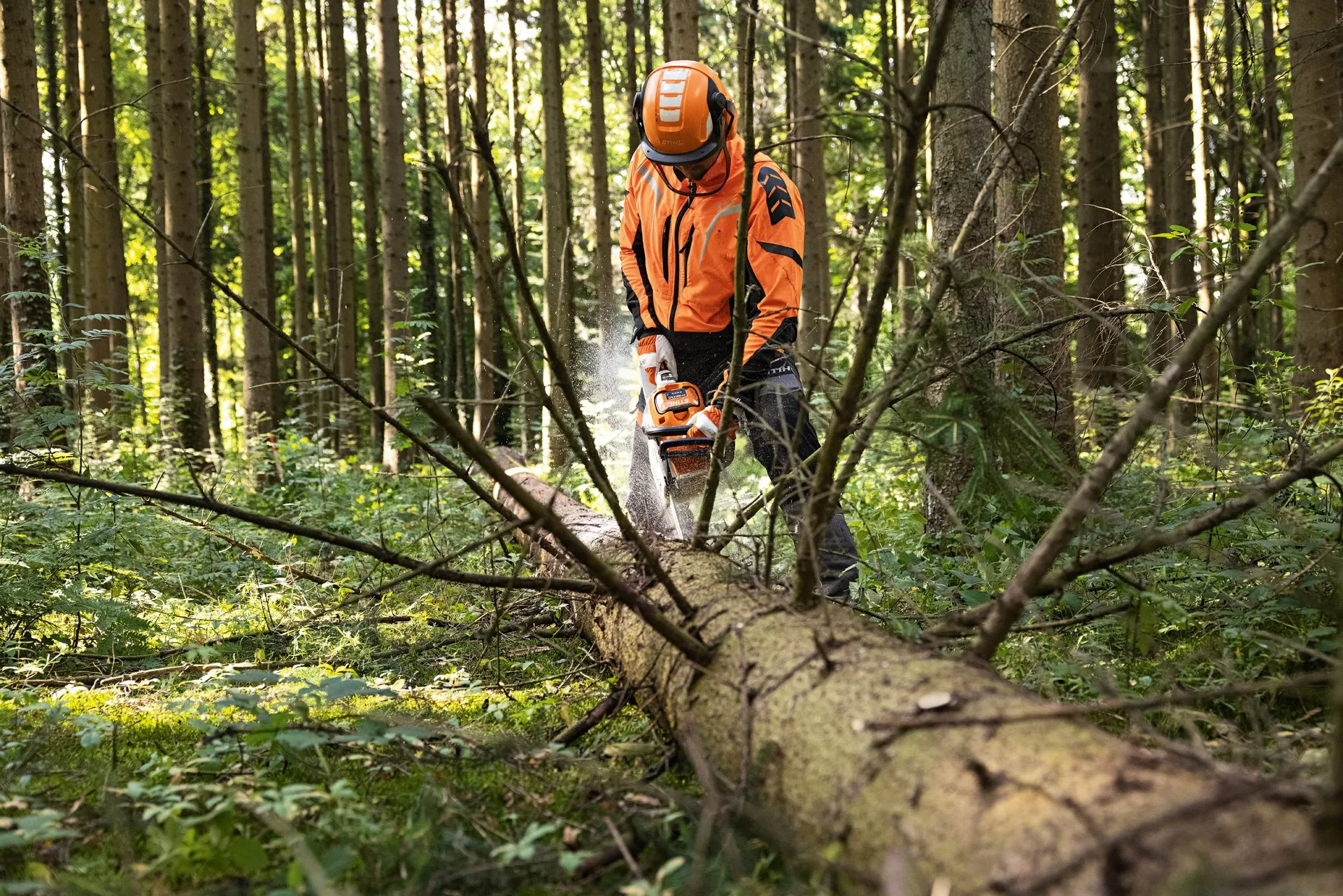 Tronçonneuse à batterie STIHL – MSA 300 – Gamme AP – Image 4