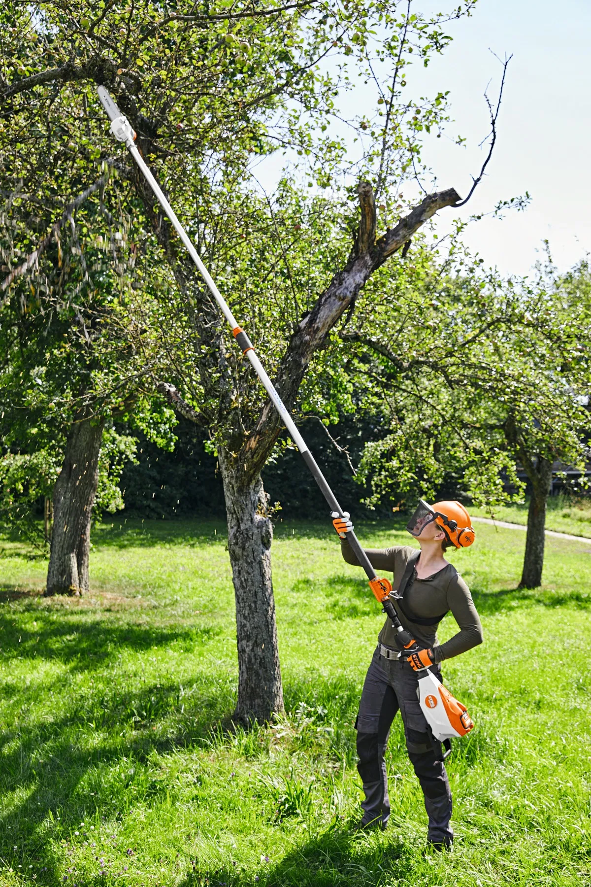 Perche d’élagage à batterie STIHL – HTA 135 – Gamme AP – Image 4