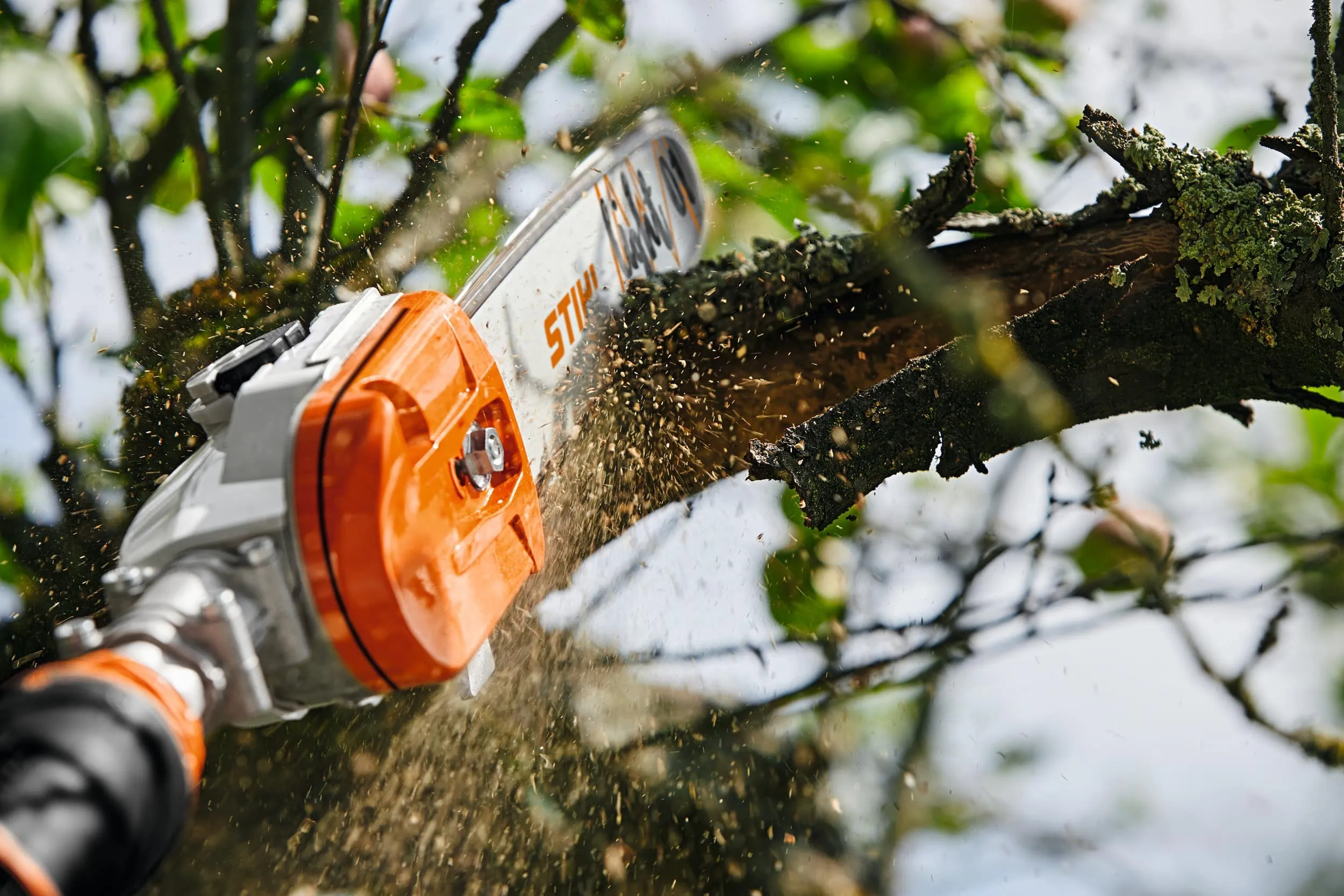 Perche d’élagage à batterie STIHL – HTA 135 – Gamme AP – Image 3